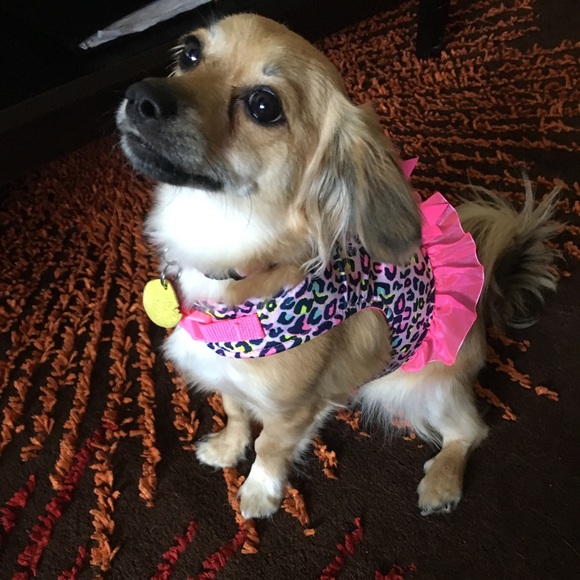 Meet your Posher, Katherine - Picture 5 of 5